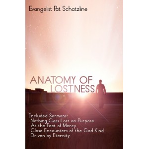 Anatomy of Lostness